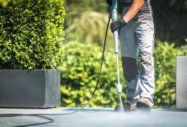 Best Roof Washing  in Athens, WV