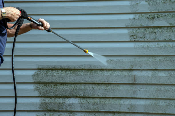 Best Graffiti Removal  in Athens, WV